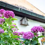 La Maison Alsacienne Hébergement de vacances *