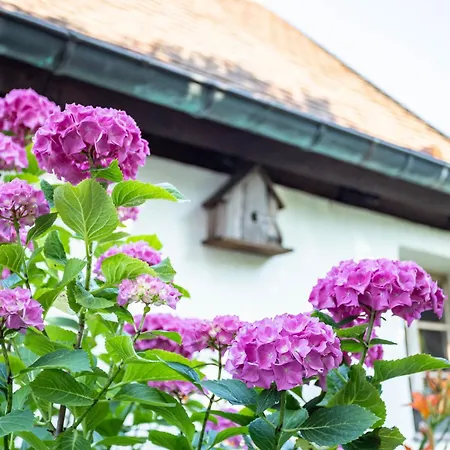 La Maison Alsacienne 度假居 *