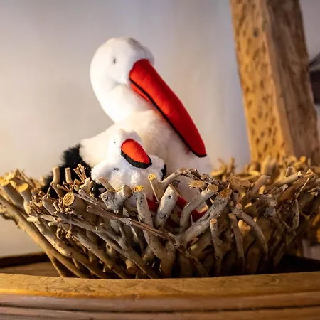 La Maison Alsacienne 度假居 *