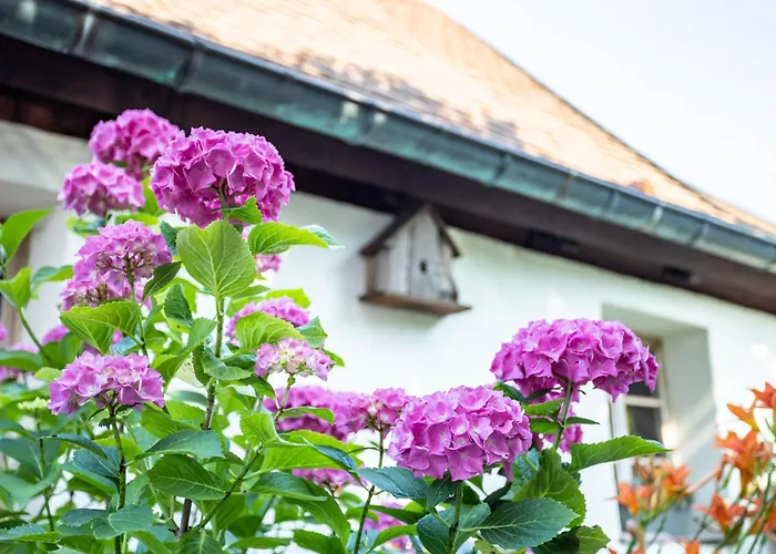 La Maison Alsacienne Vakantiehuis *