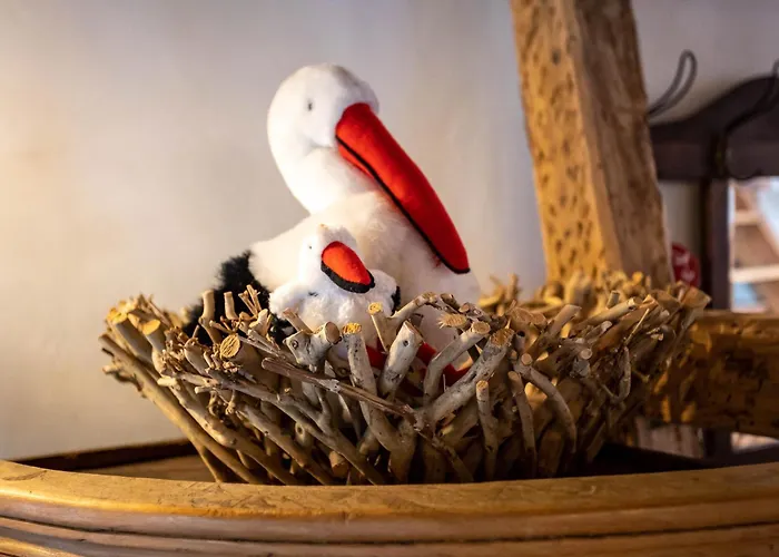 La Maison Alsacienne Vakantiehuis *