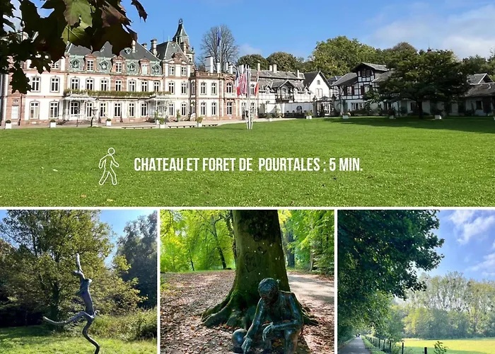 Vakantiehuis La Maison Alsacienne *